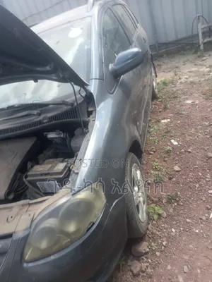 Volkswagen Suran 2008 Gray