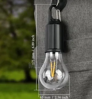 Rechargeable Campaign Light