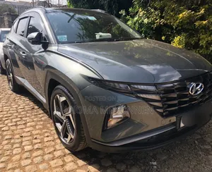 Hyundai Tucson 2021 Gray