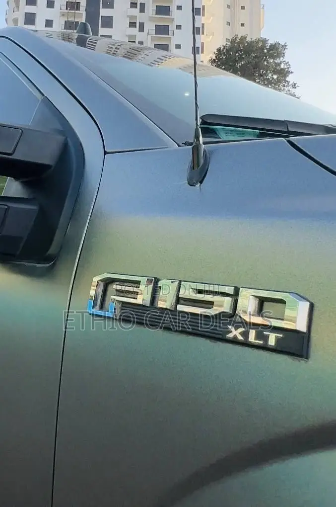 Ford F-150 XLT 4x2 Regular Cab Styleside 6.5 ft. box 122 in. WB 2020 Gray