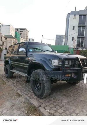 Toyota Land Cruiser 1993 Gray