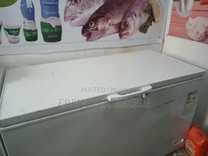 Dairy Product Shop የእንስሳ ተዋፅኦ መሸጫ