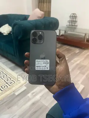 New Apple iPhone 13 Pro Max 256 GB Gray