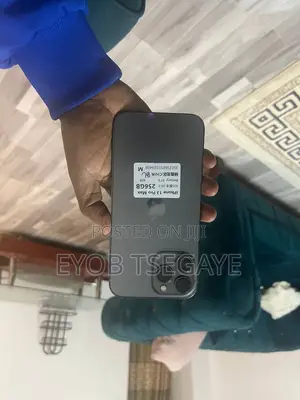 New Apple iPhone 13 Pro Max 256 GB Gray