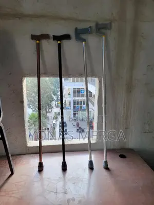 Walking Sticks or Canes墯屯to Prevent Bending or Slouching