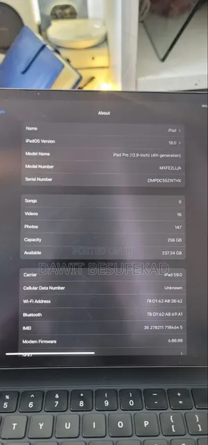 Apple iPad Pro 256 GB Gray