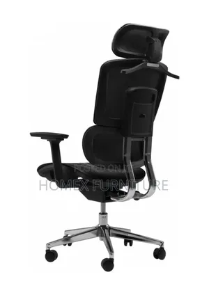 Managerial Mesh Chair