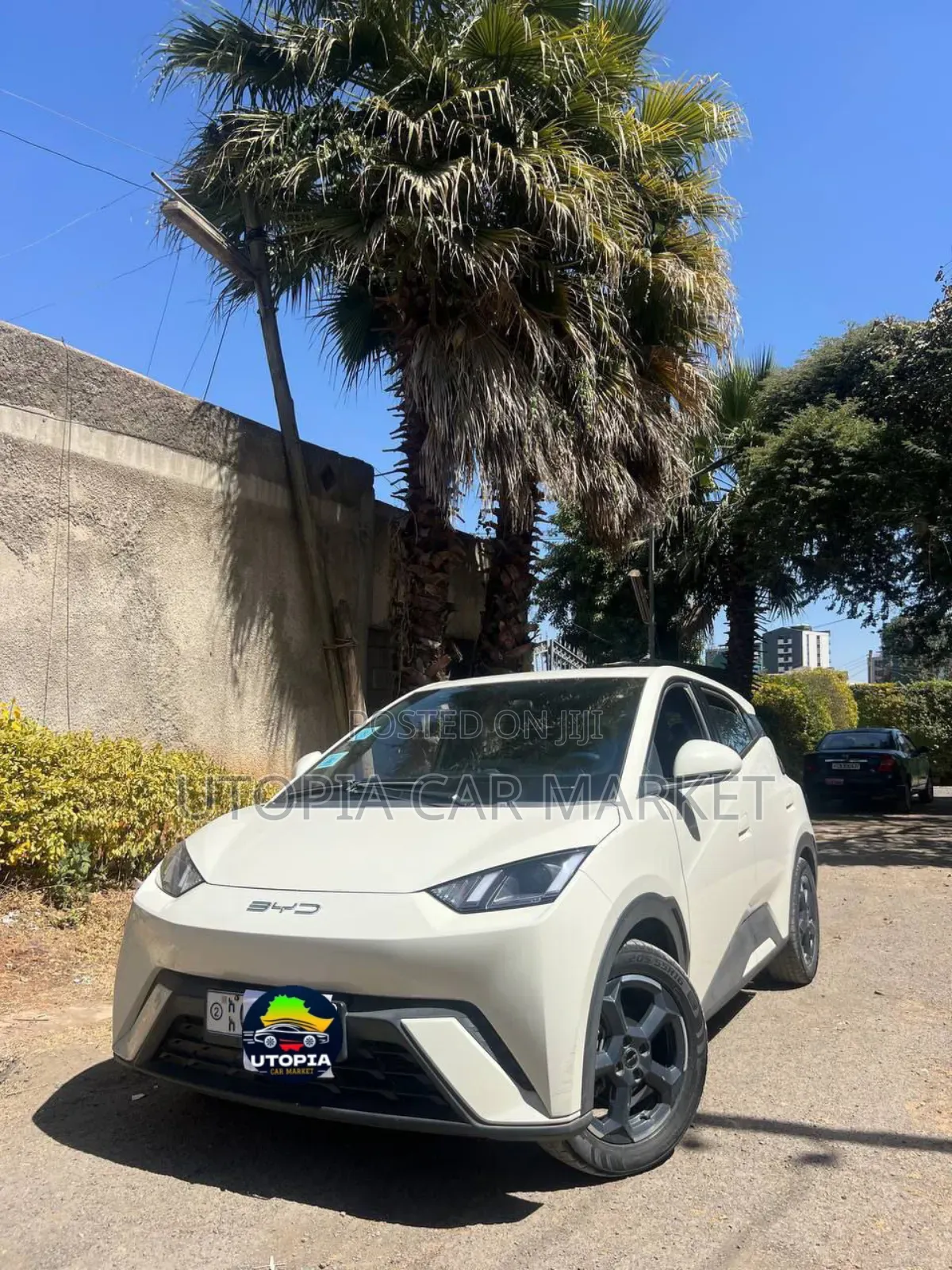 BYD Seagull 2024 White