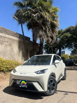 BYD Seagull 2024 White