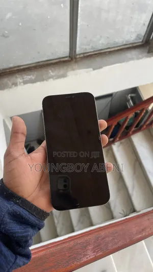 Apple iPhone 12 Pro Max 256 GB Gray