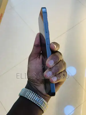 Samsung Galaxy S24 Plus 256 GB Gray