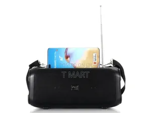 Experience the Freedom of Solar-Powered Sound