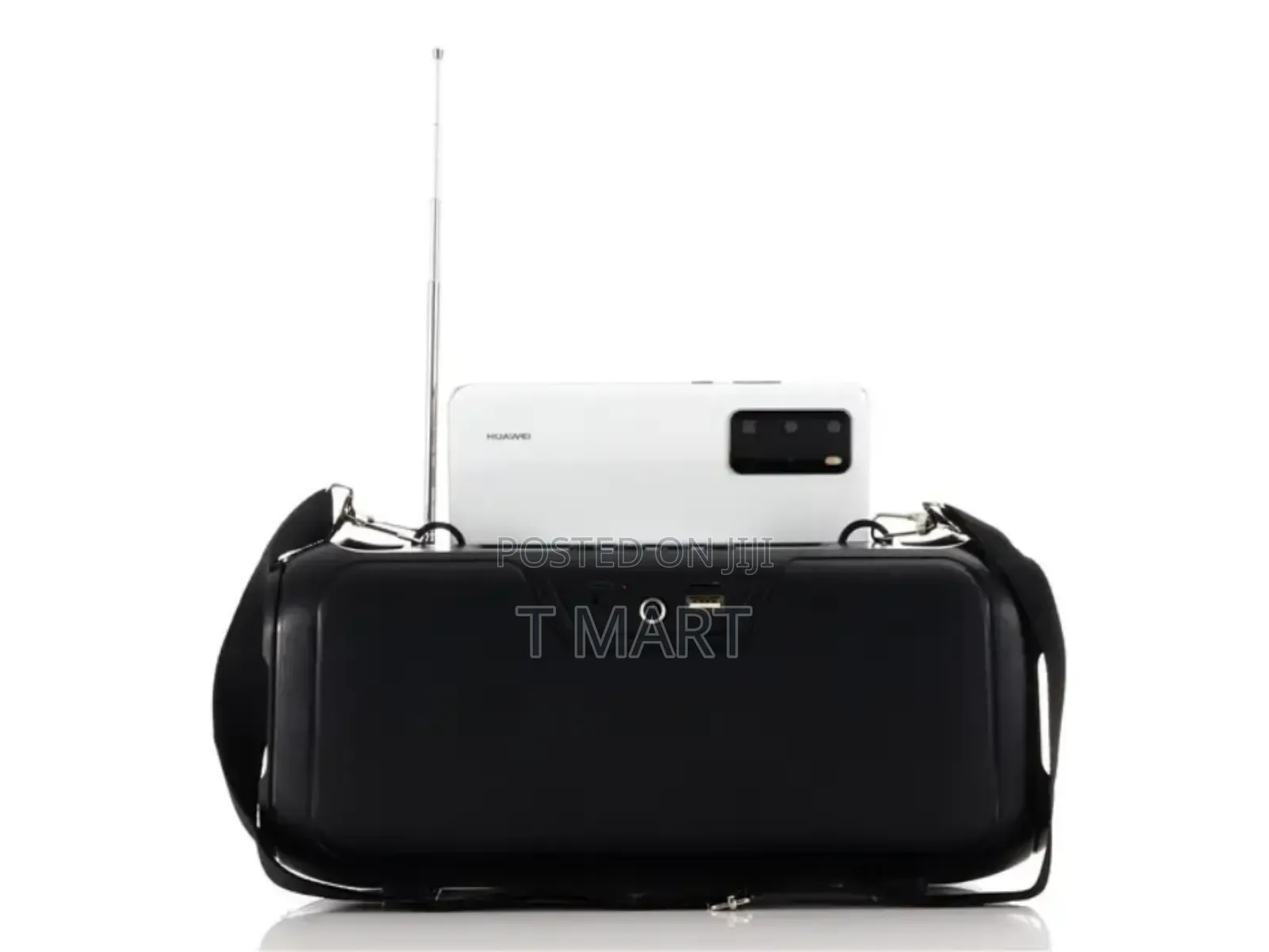 Experience the Freedom of Solar-Powered Sound