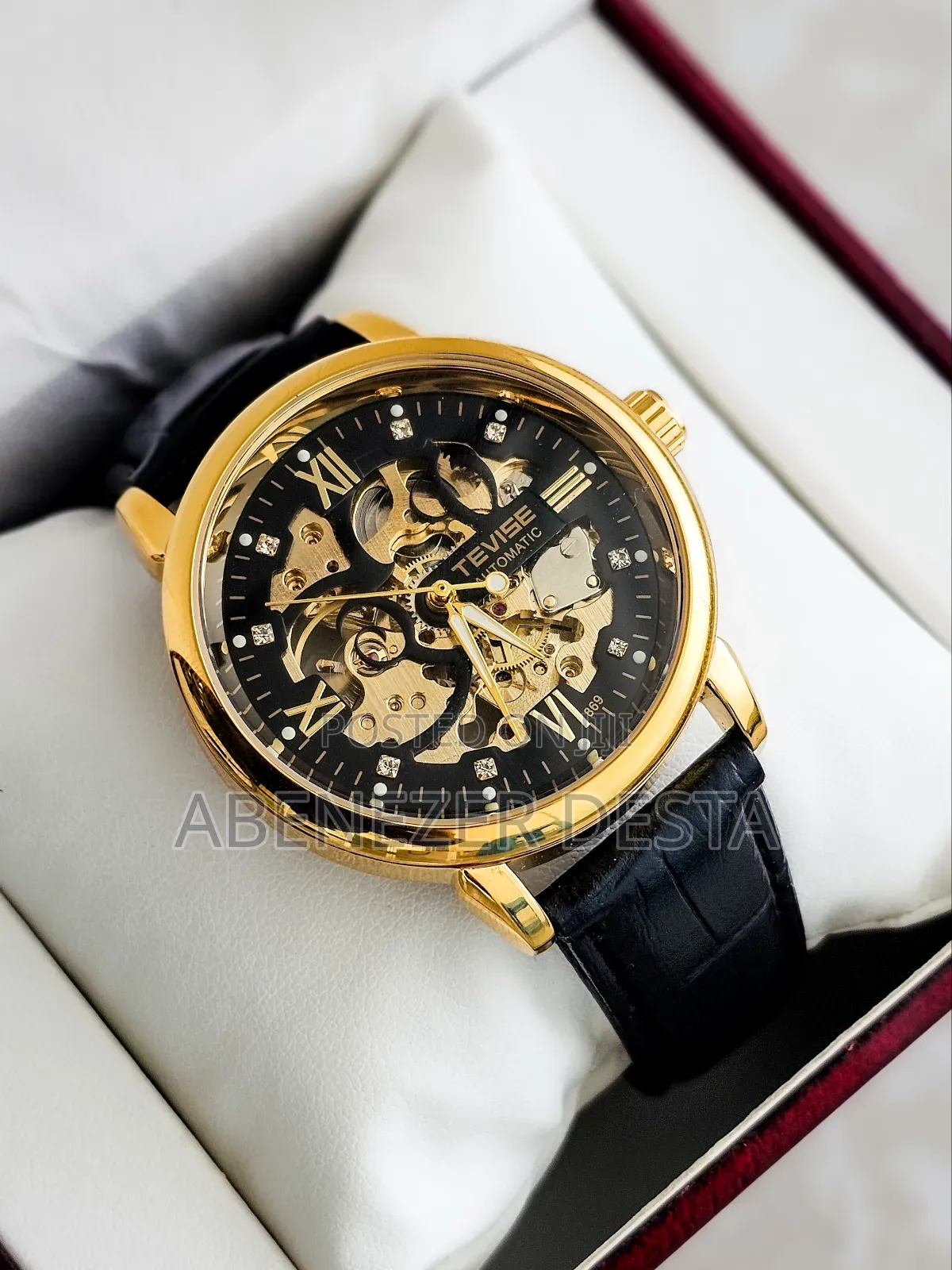 Tevise T869 Automatic Mechanical Skeleton Watch. Black Leather
