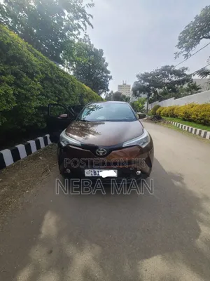Toyota C-HR 2017 Brown