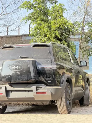 New BYD Leopard 3 Max 2025 Black