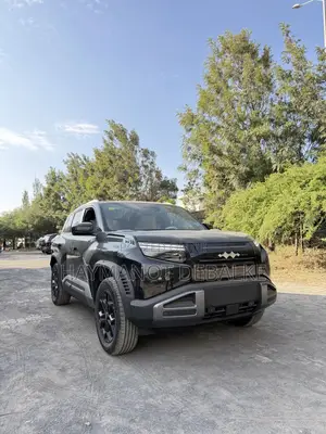 New BYD Leopard 3 Max 2025 Black