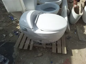 Toilet Seat