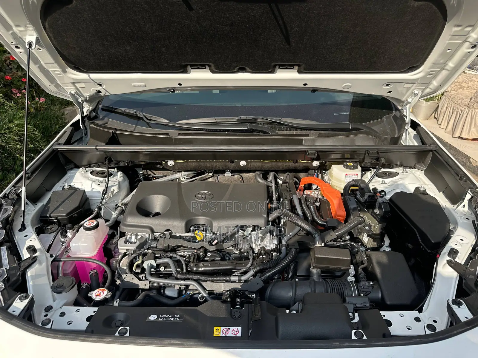 New Toyota RAV4 XLE 2025 White