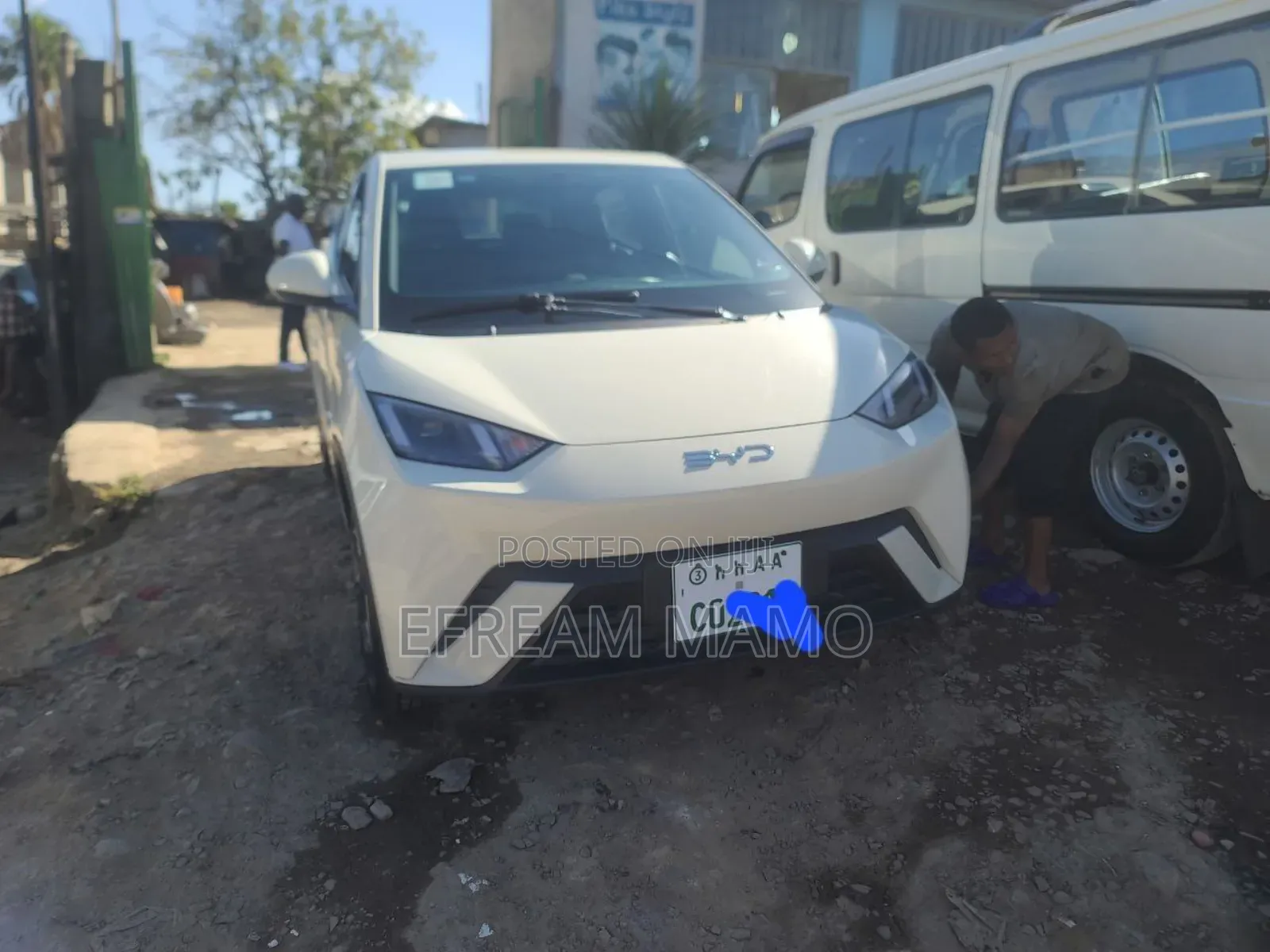 BYD Seagull 2025 White