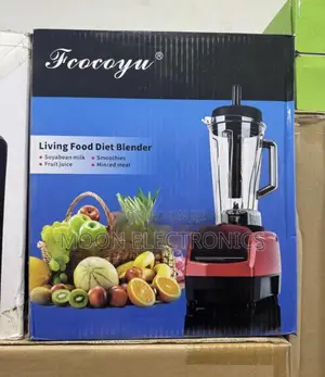 Commercial 2 L Juicer – Powerful Professional Juice Extractor!
