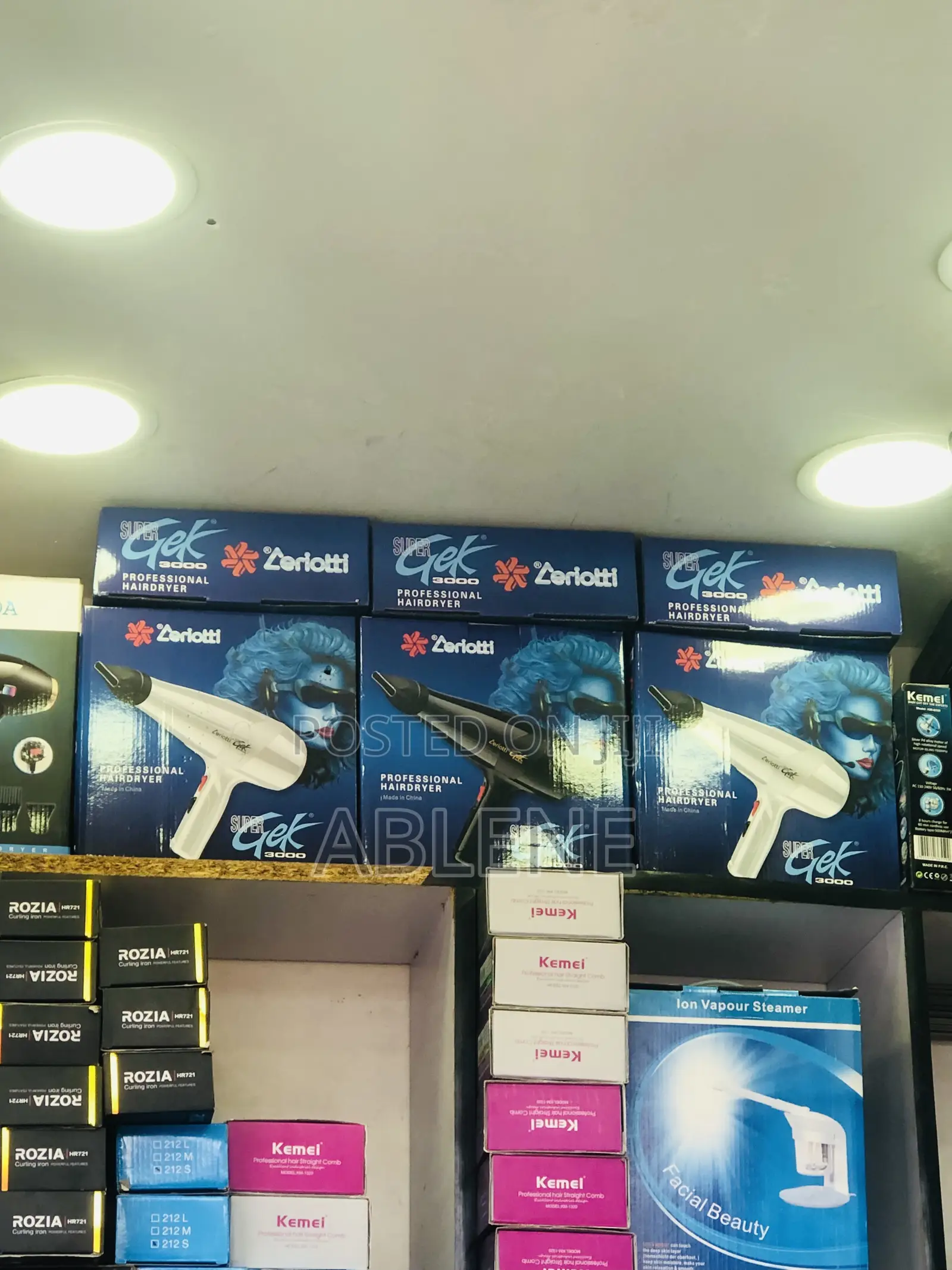 Ceriotti Professional Hair Dryer