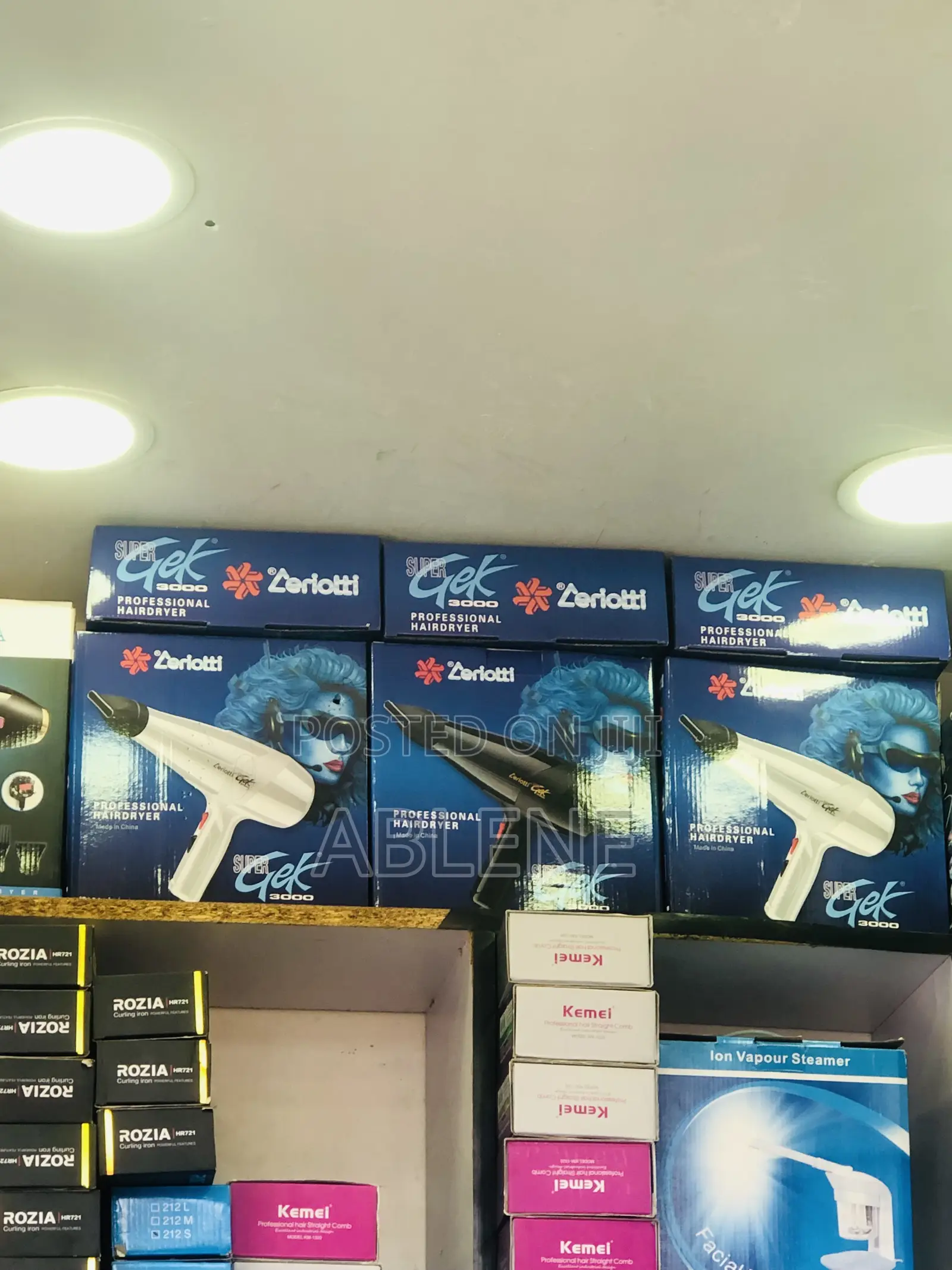 Ceriotti Professional Hair Dryer