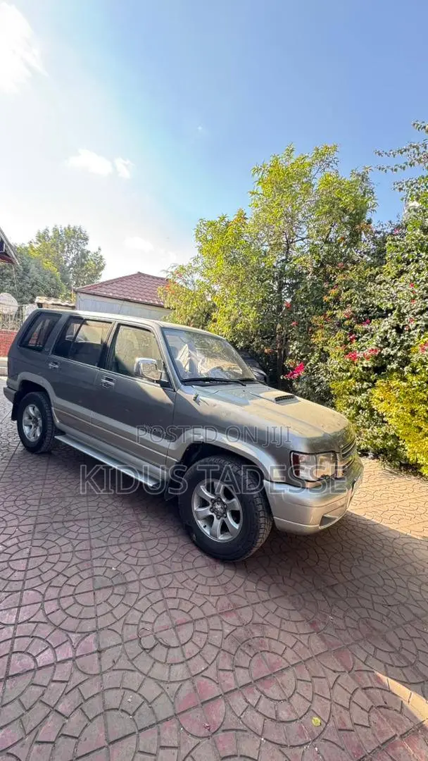 Isuzu Axiom 2003 Silver