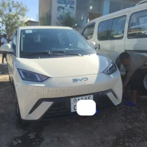 BYD Seagull 2025 Off white