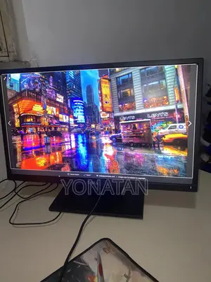 Dell 24 Inch Monitor