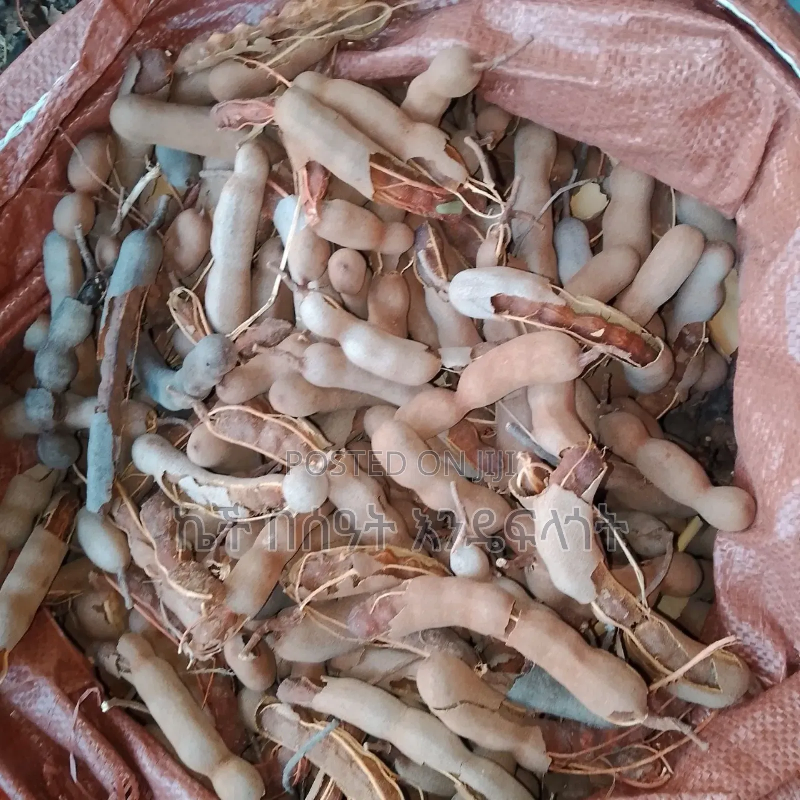 Tamarind Fruit / ሮቃ ፍሬ