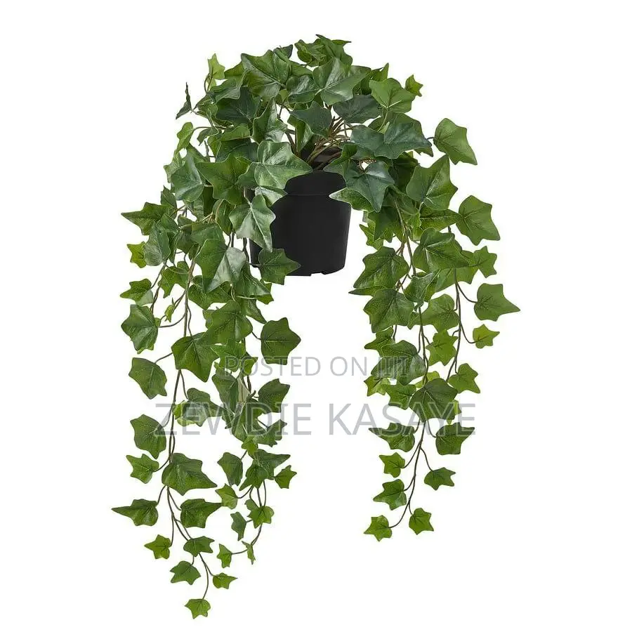 Ikea Artificial Potted Plant, in/Outdoor Hanging/Ivy, 15