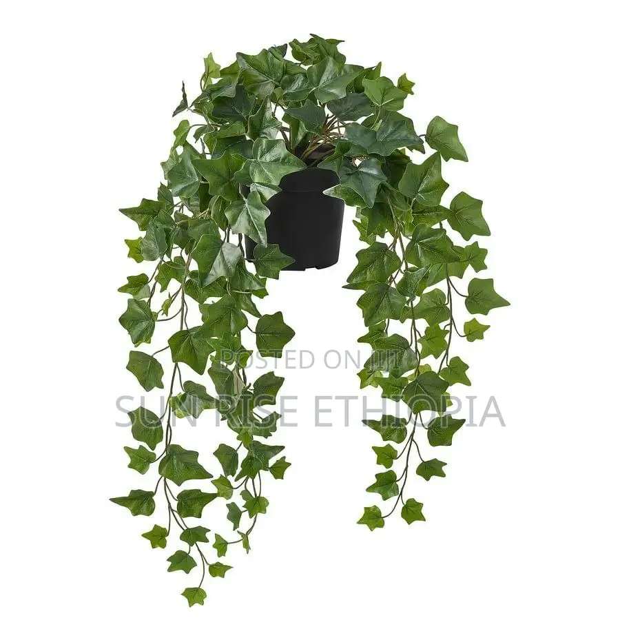 Ikea Artificial Potted Plant, in/Outdoor Hanging/Ivy, 15