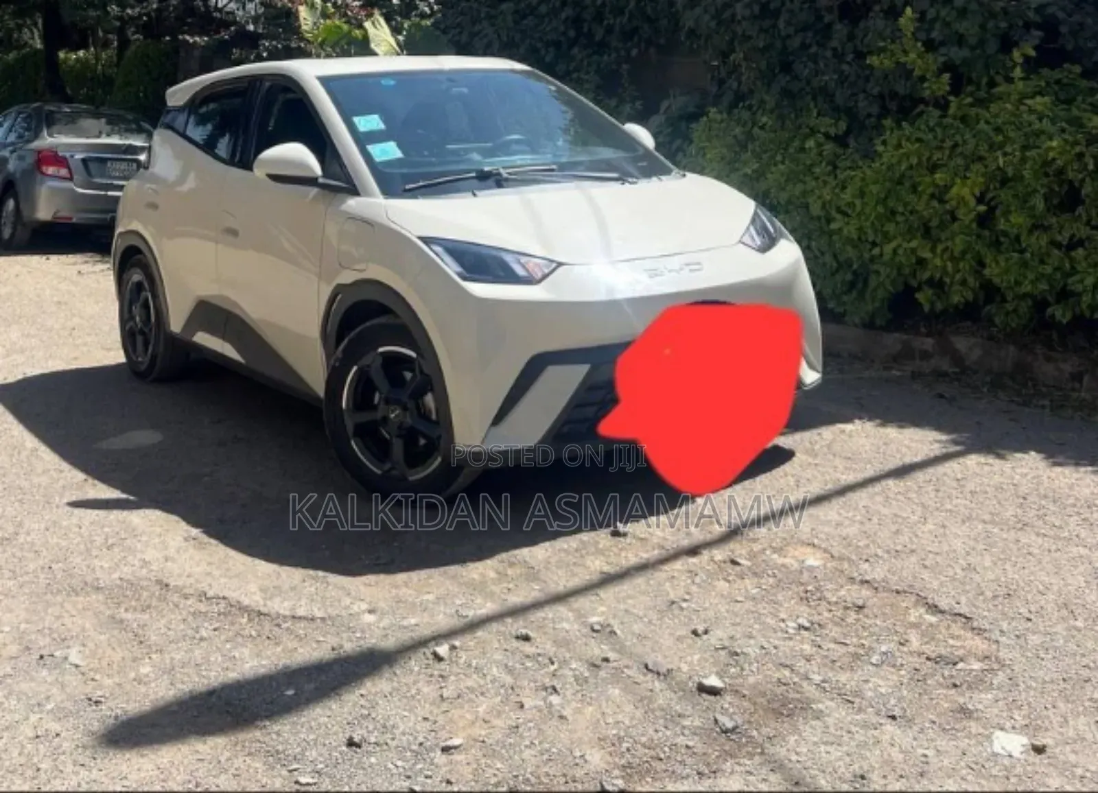 BYD Seagull 2024 White