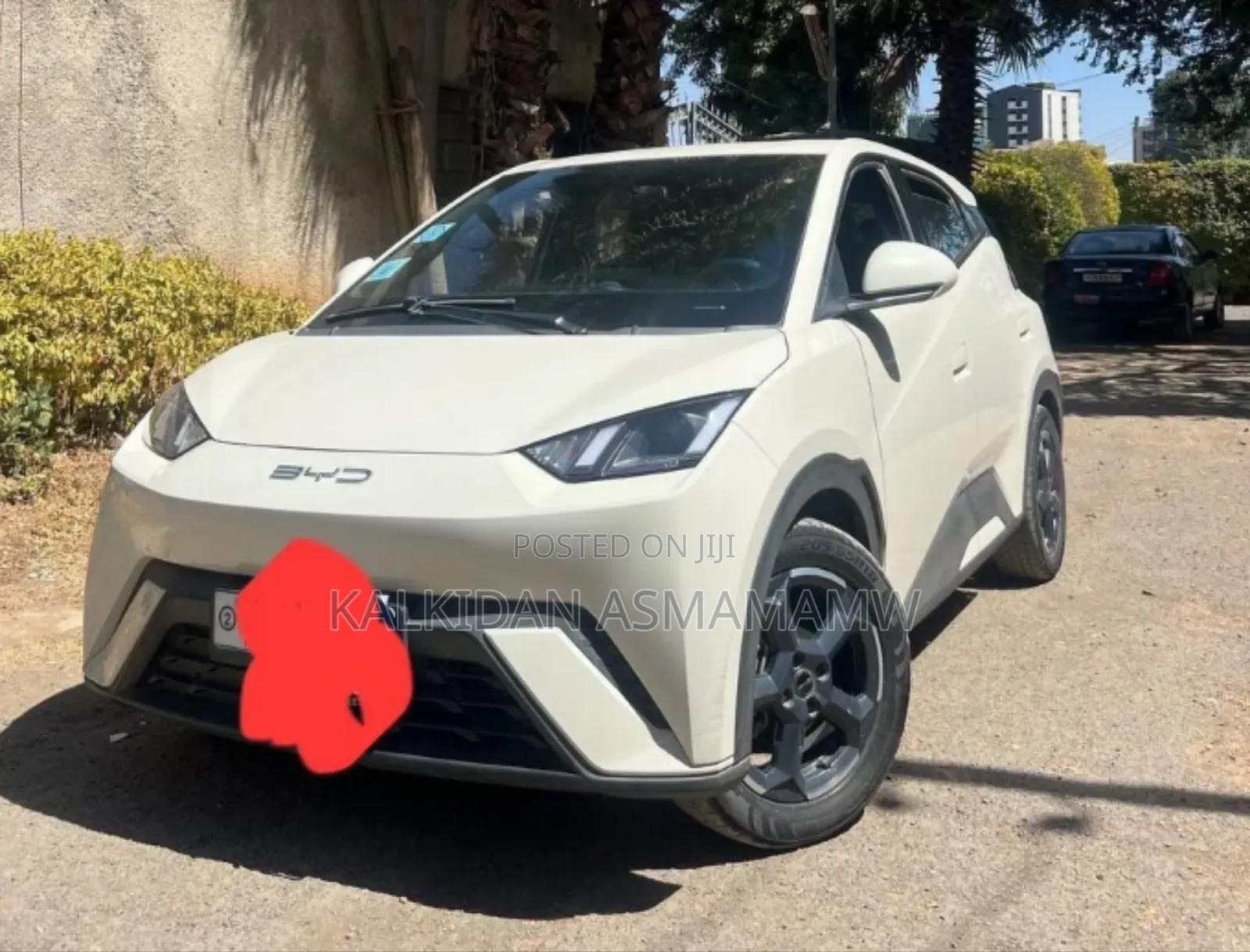 BYD Seagull 2024 White