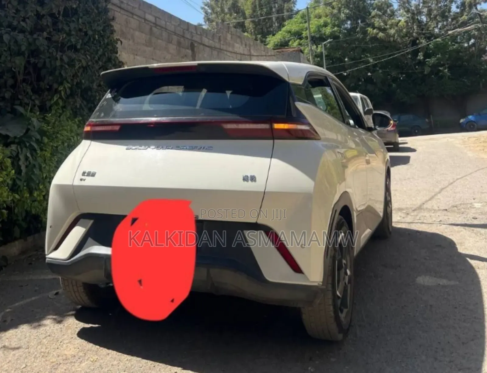 BYD Seagull 2024 White