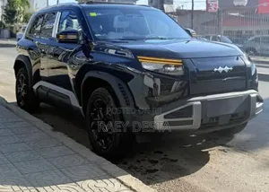 New BYD Leopard 3 2025 Black