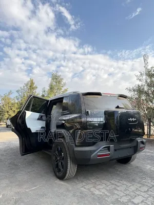 New BYD Leopard 3 2025 Black