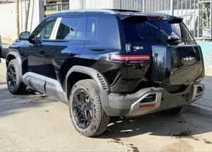 New BYD Leopard 3 2025 Black