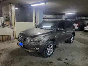 Toyota RAV4 2011 Brown