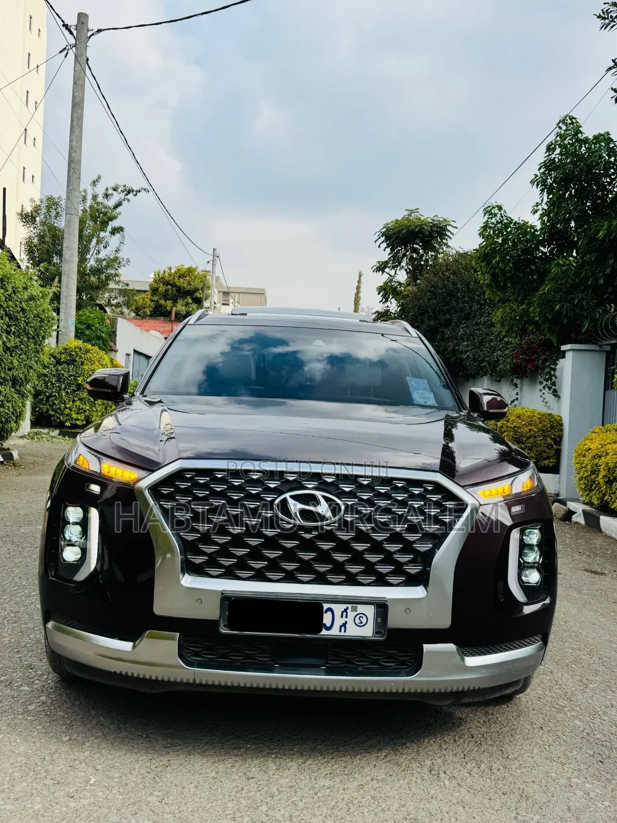 Hyundai Palisade 2022 Beige