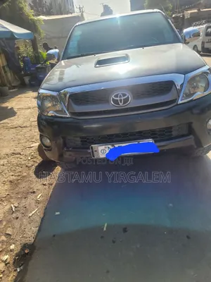 Toyota Hilux 2010 Gray
