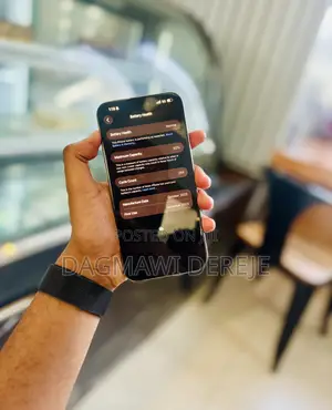 New Apple iPhone 15 Pro Max 256 GB Gray