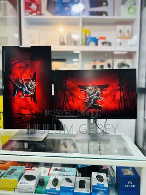 Dell 24 Inch Frameless Monitor