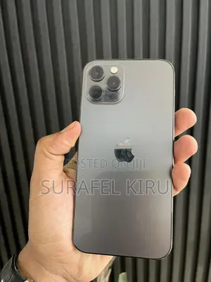 Apple iPhone 12 Pro 256 GB Gray