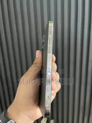 Apple iPhone 12 Pro 256 GB Gray