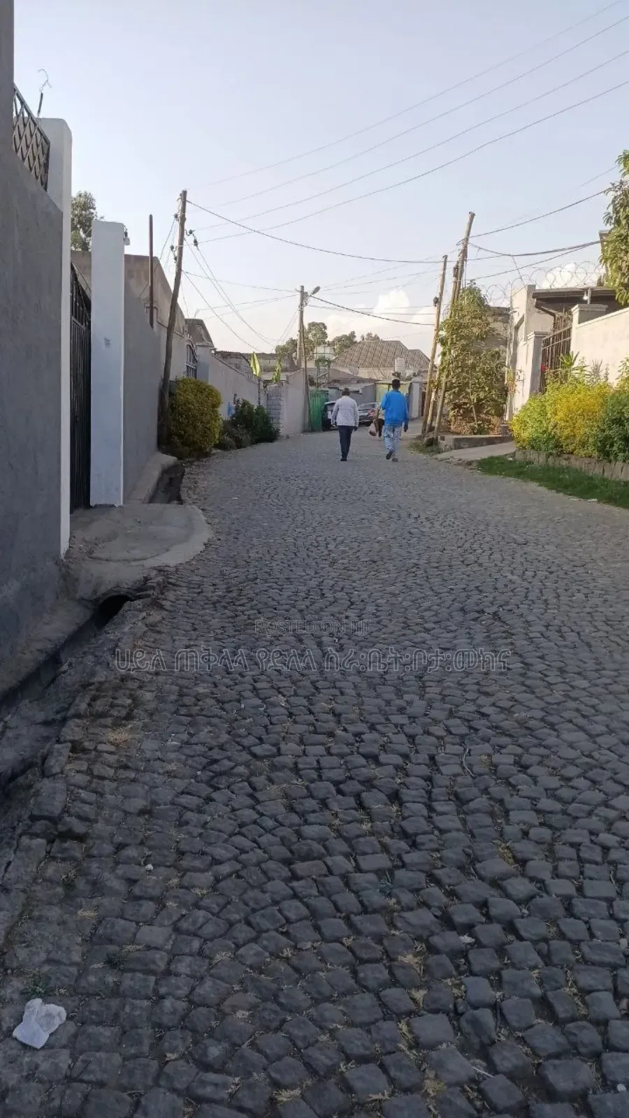 የምሸጥ 250 ካሬ.ሜትር ቦታ