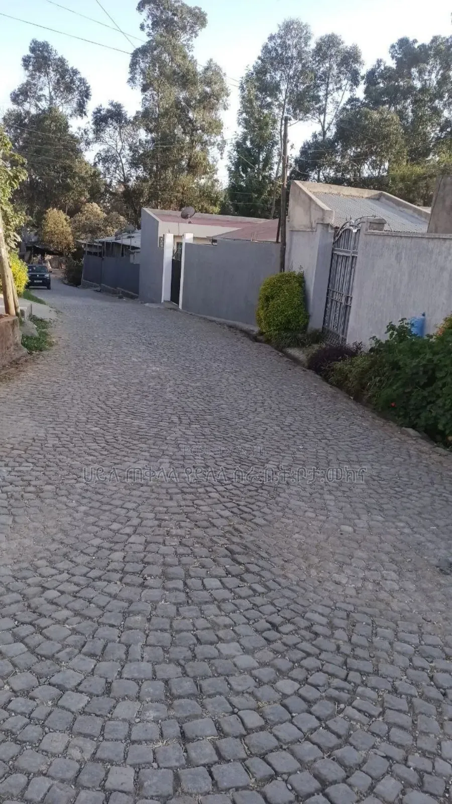 የምሸጥ 250 ካሬ.ሜትር ቦታ