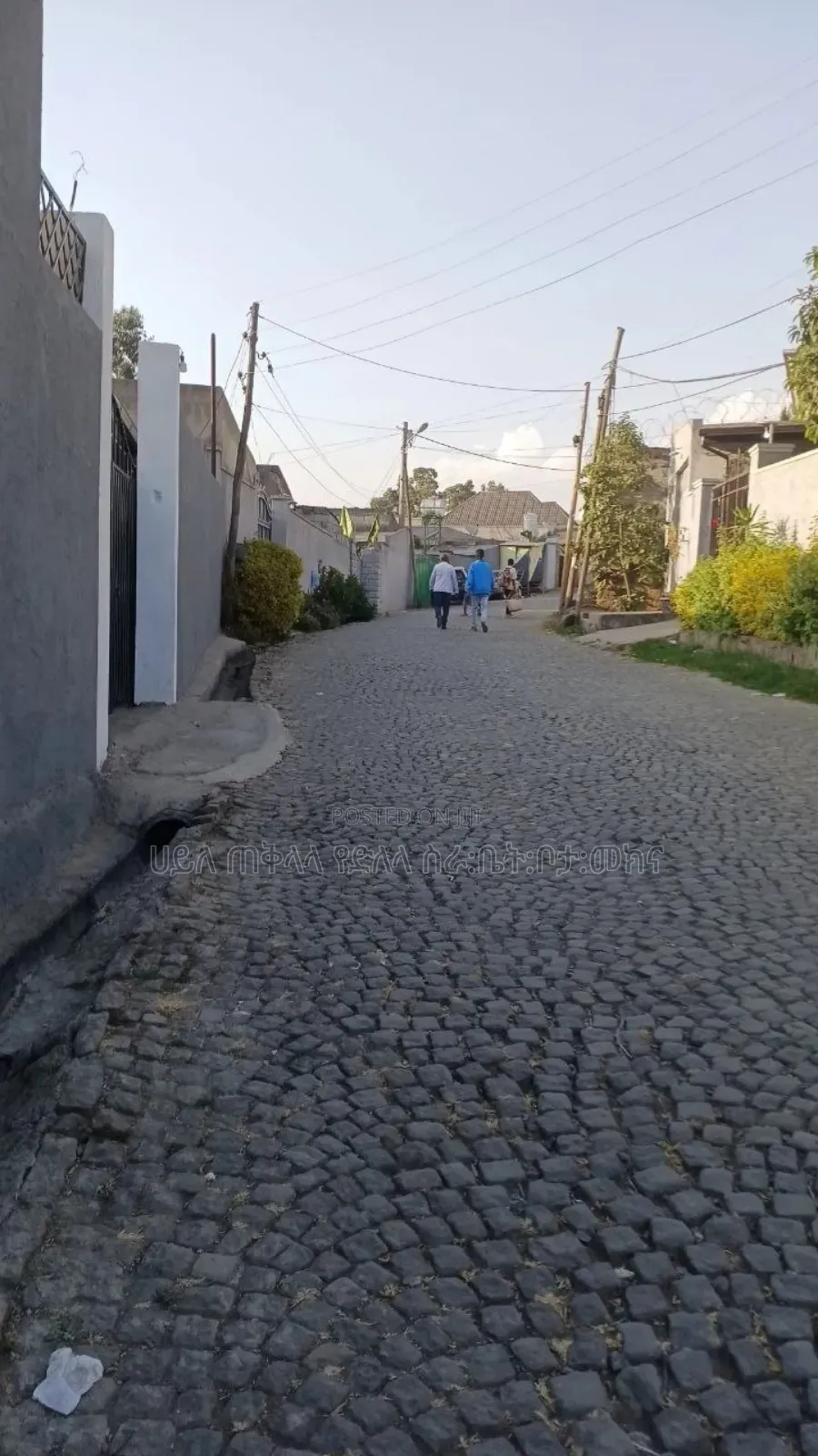 የምሸጥ 250 ካሬ.ሜትር ቦታ