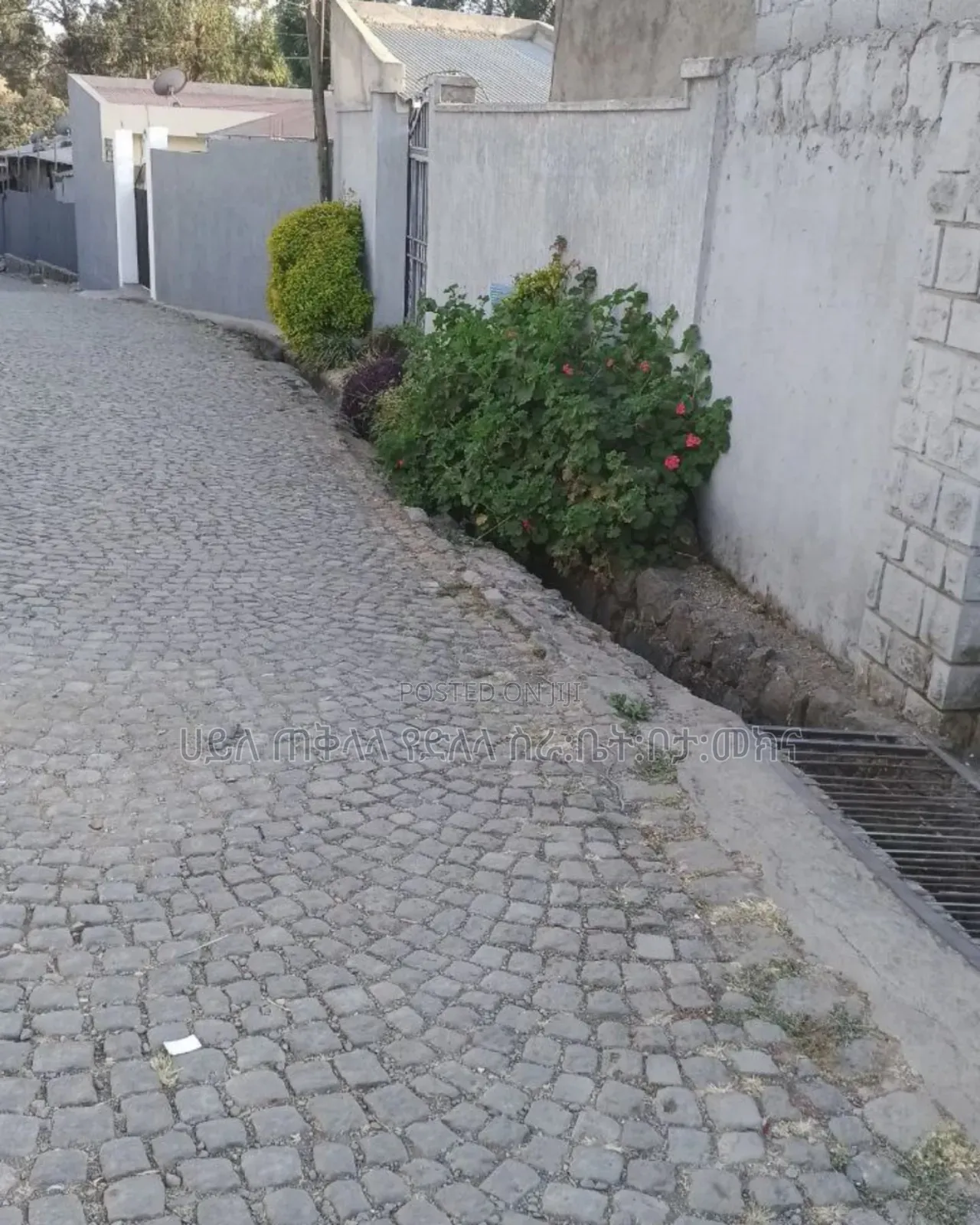 የምሸጥ 250 ካሬ.ሜትር ቦታ